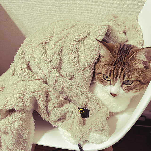 tiroさんの実例写真