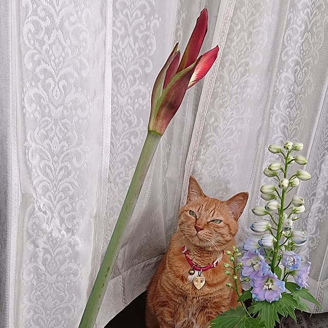 NOAHさんの部屋