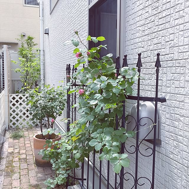 Bienvenueさんの部屋
