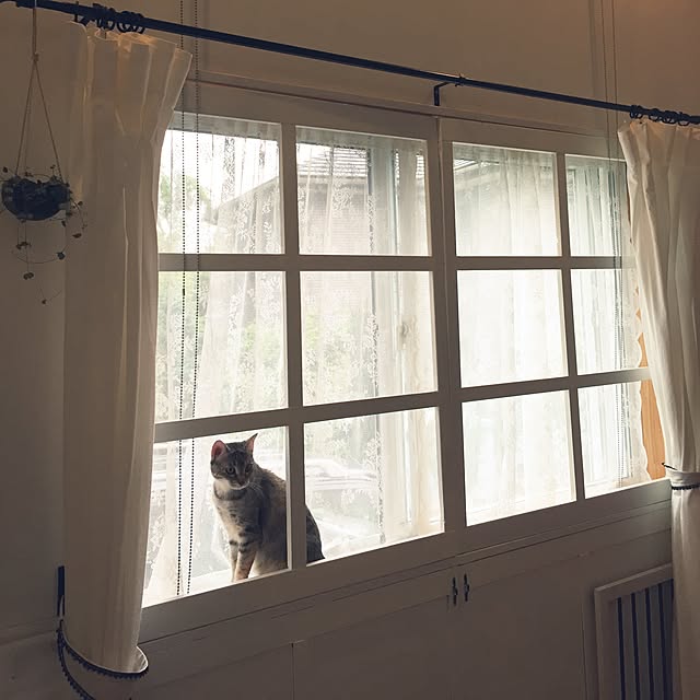 ROBI-FUKUさんの実例写真