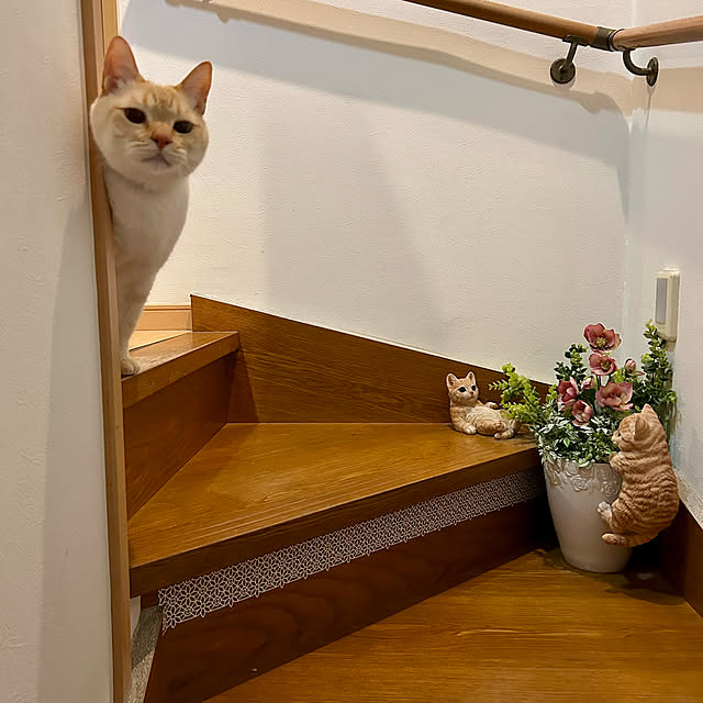 milkさんの部屋