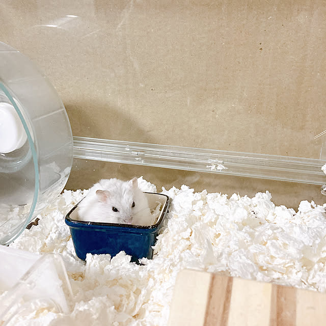 ha_koさんの部屋