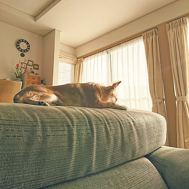 nattimomoさんの実例写真