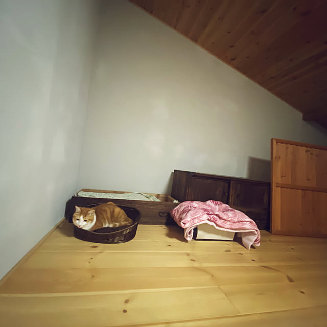 senbei.sakuramochiさんの実例写真
