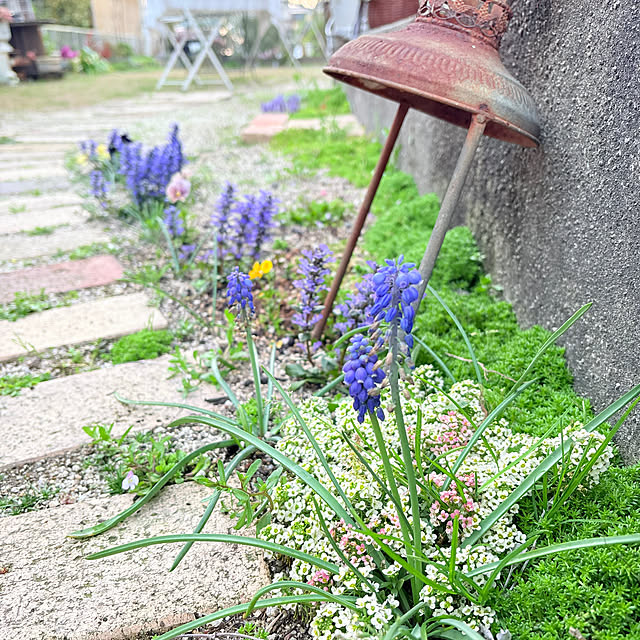 mayumiさんの部屋