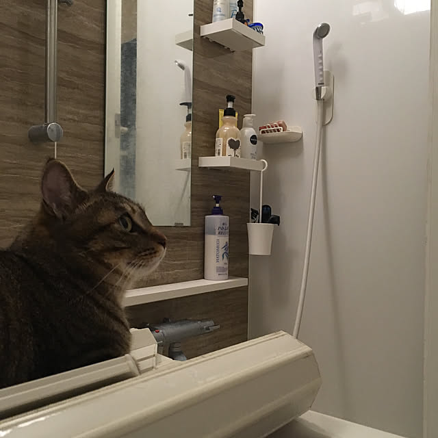 mikomaruさんの実例写真