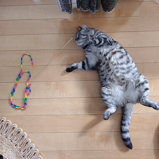 hiro3さんの部屋