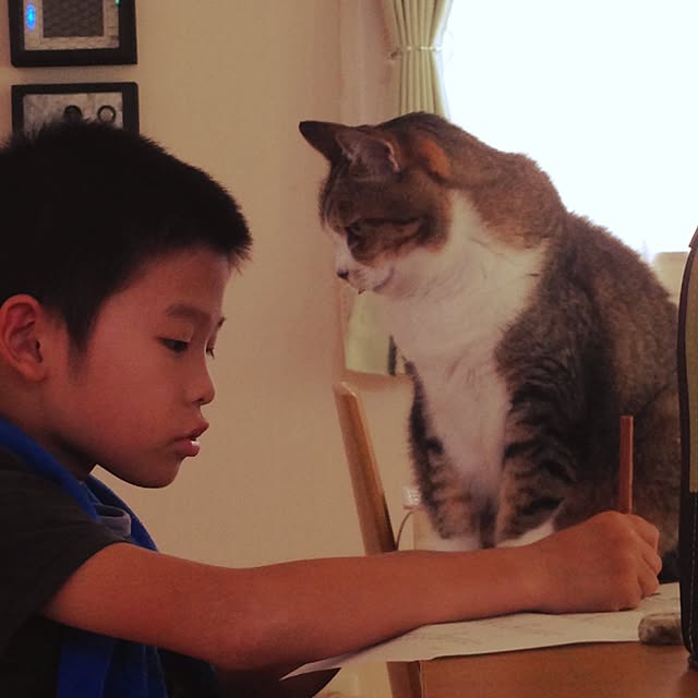 机のインテリア実例 - 2015-09-14 15:45:20