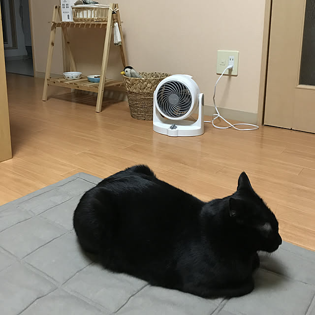 Machikoさんの実例写真