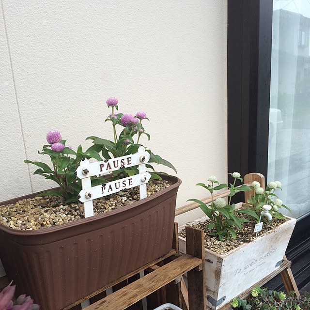 Kurehaさんの実例写真