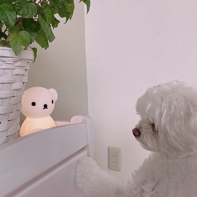 Tomokoさんの実例写真