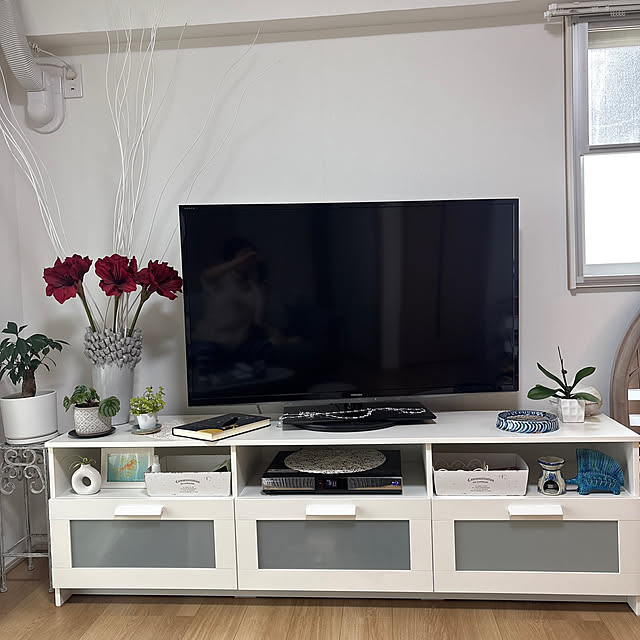 konnichiwaさんの実例写真