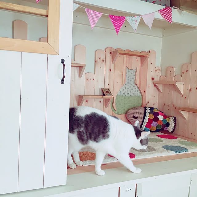 mintcatさんの実例写真