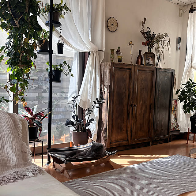 greycatsさんの部屋