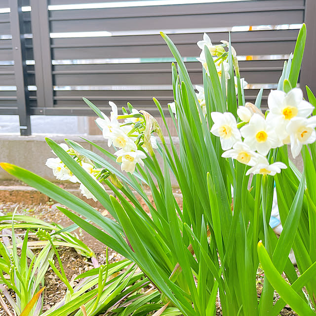 eriharuさんの部屋