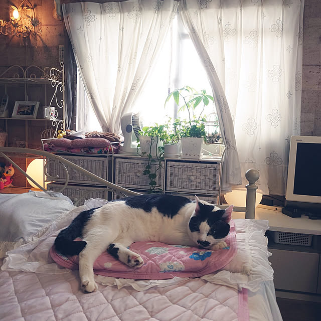 asuminさんの実例写真