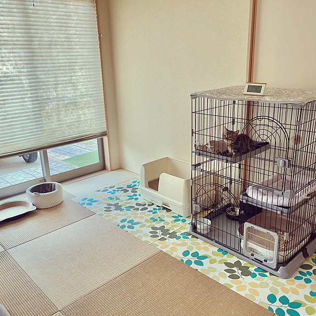chiiさんの実例写真