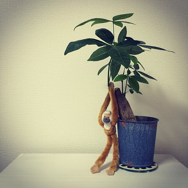 Nozomiさんの実例写真