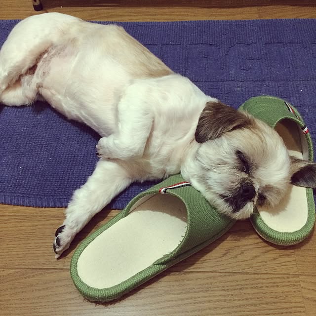 lenkaさんの実例写真