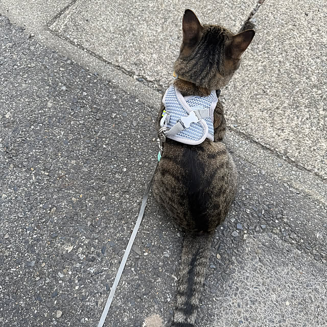 m-poem-cooさんの部屋