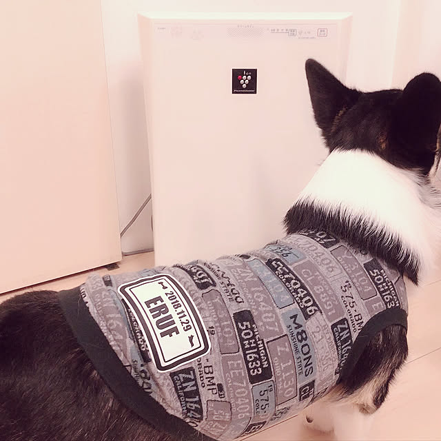 Ruiさんの実例写真