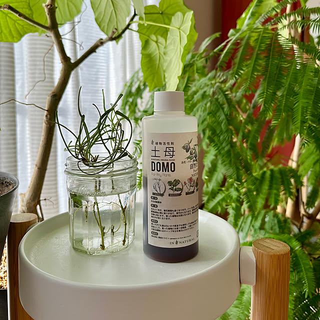 65-24oxoさんの実例写真