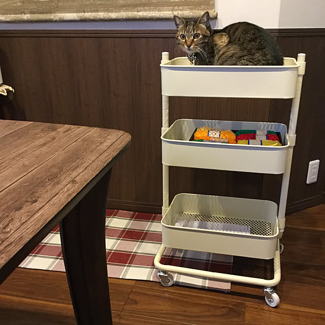 chikaさんの実例写真