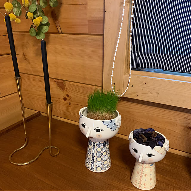 Syunsukeさんの実例写真