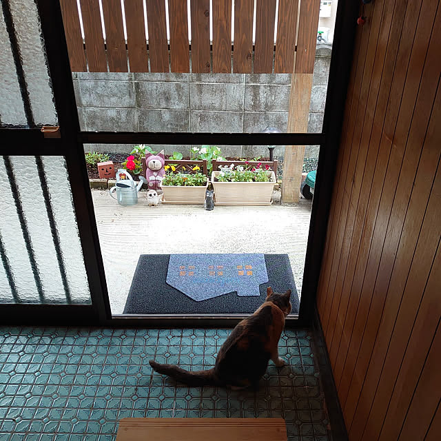 fukuさんの実例写真