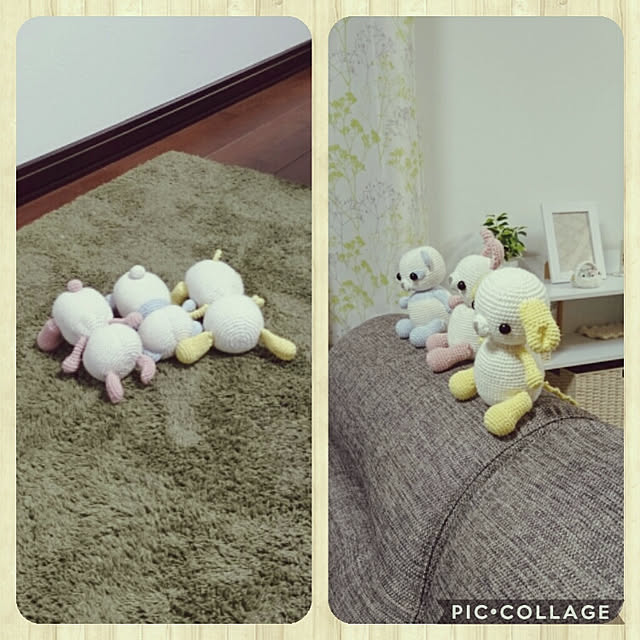 tata-kukuさんの実例写真