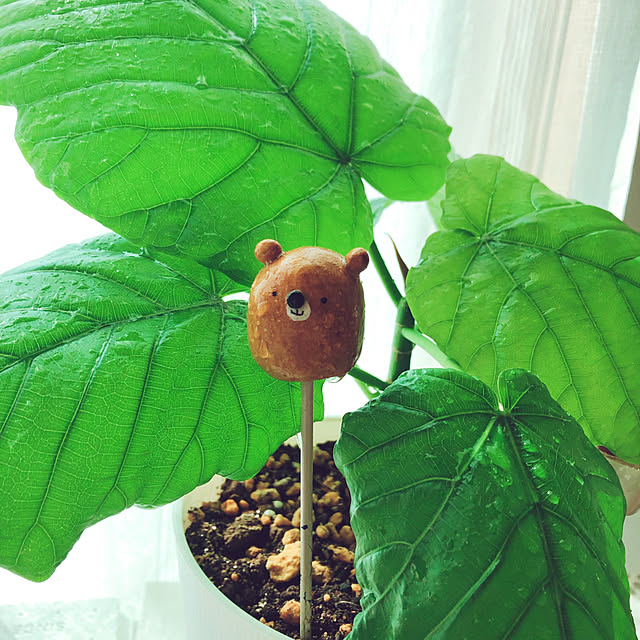 mangoさんの実例写真