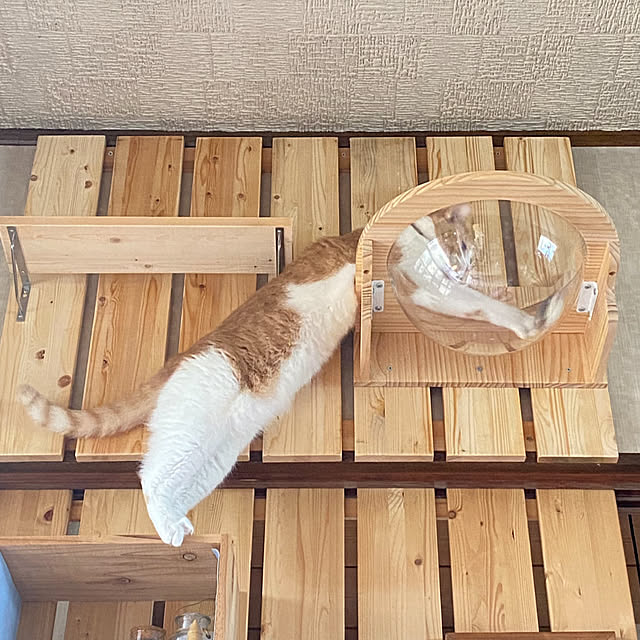 mintteaさんの部屋