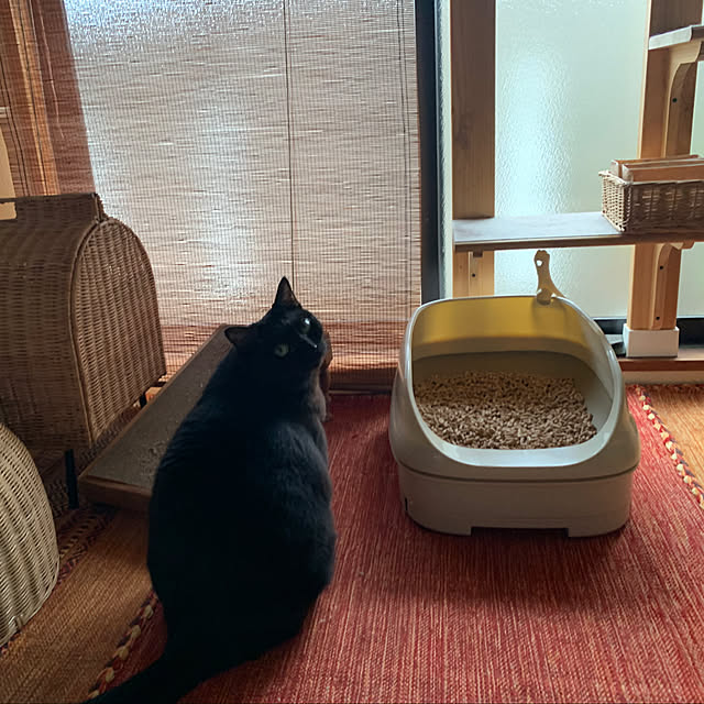 ramiel1202さんの実例写真
