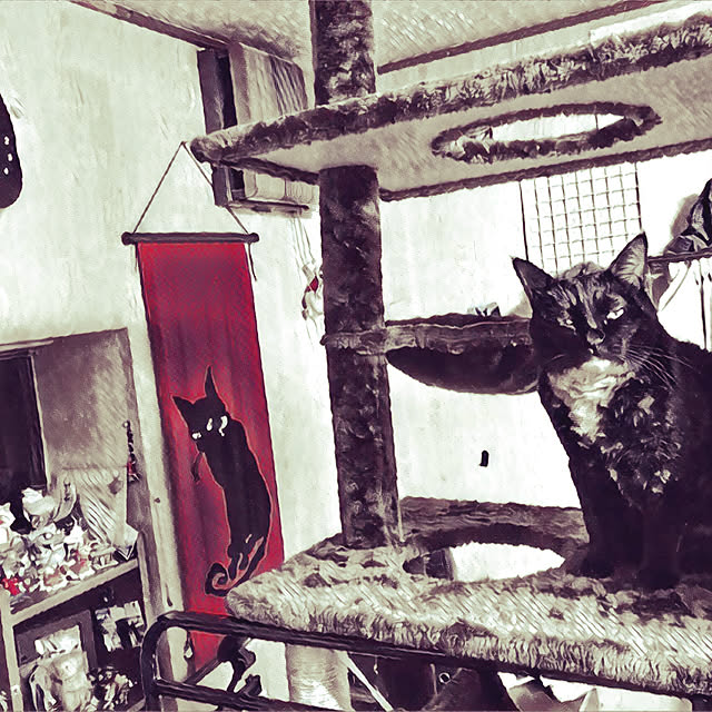 Mozzzzzさんの実例写真