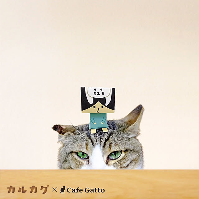 実例写真