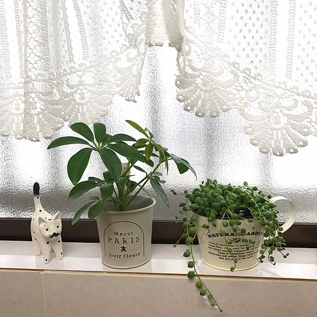 collonさんの実例写真