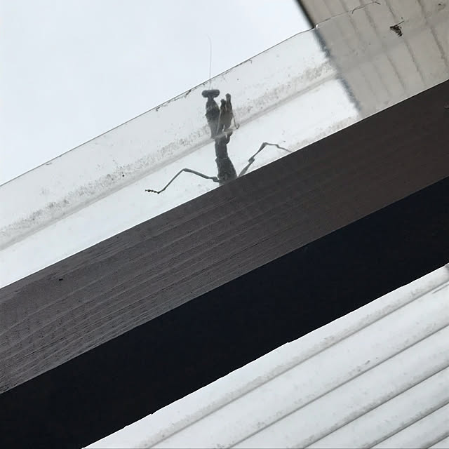 enchiさんの実例写真