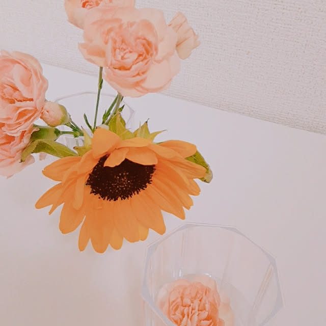 mujiさんの実例写真