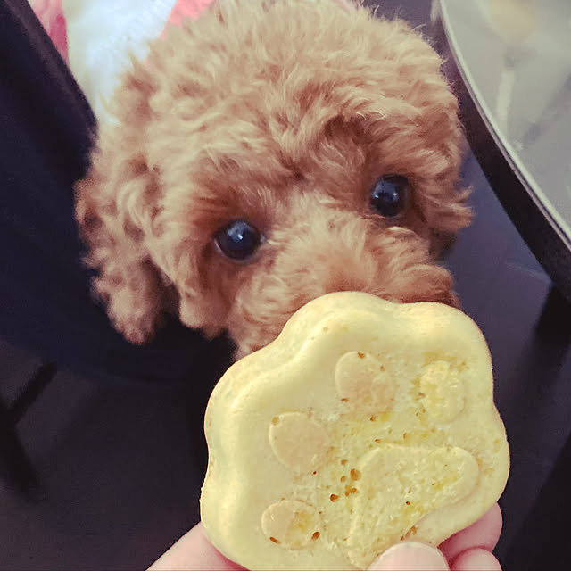 MOMOMAMAさんの実例写真