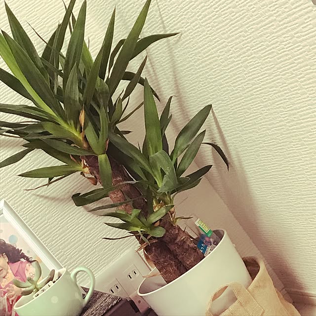 amucさんの実例写真