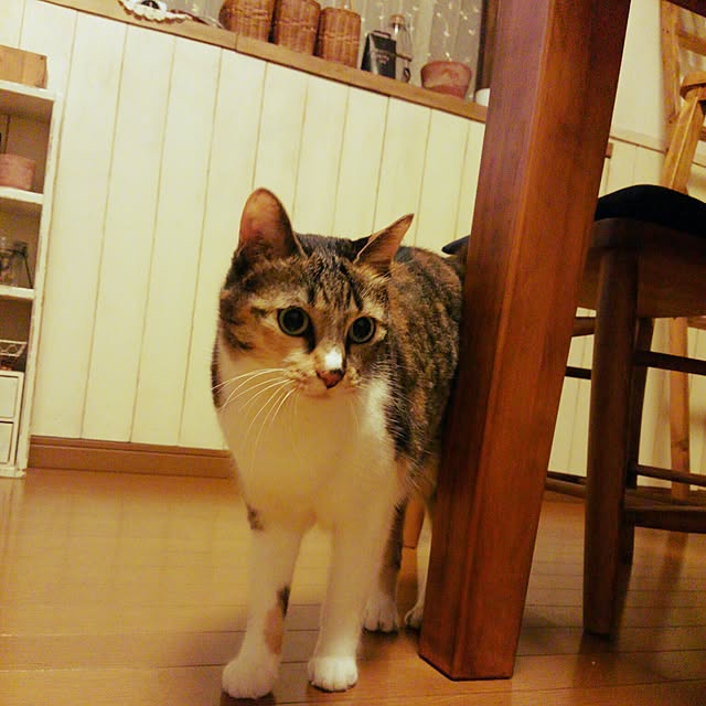 tomo1220さんの実例写真