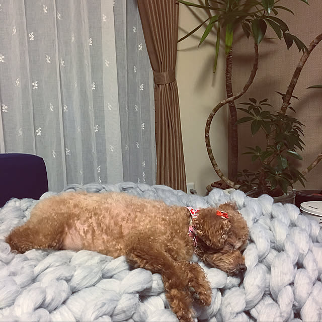 tukiさんの実例写真