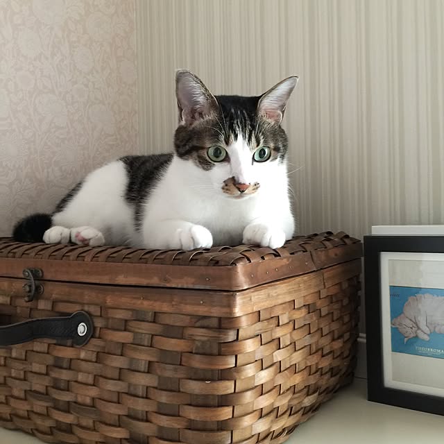 yuchiさんの実例写真