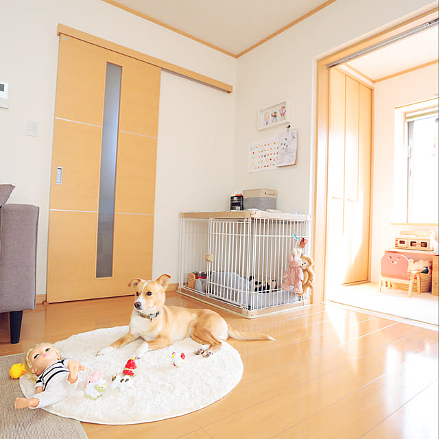 daycyさんの実例写真