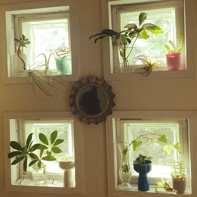 k.nikoさんの実例写真