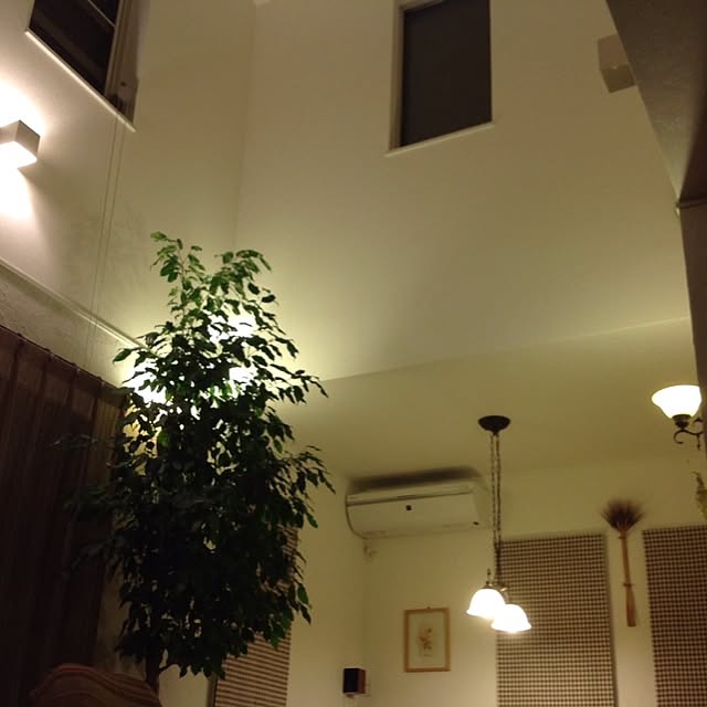 shinさんの実例写真