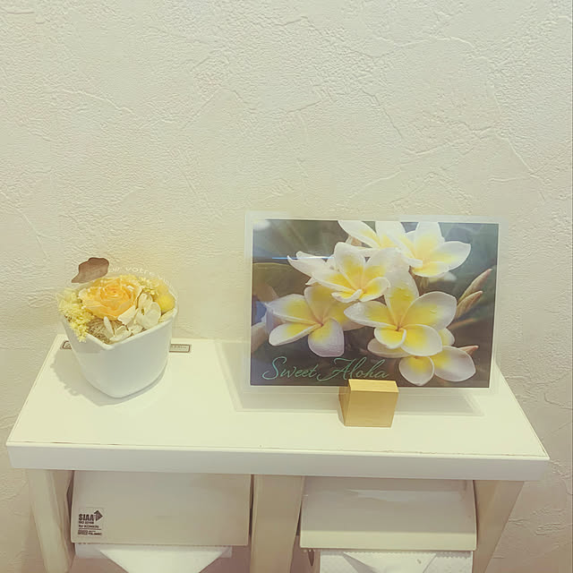 masaさんの実例写真