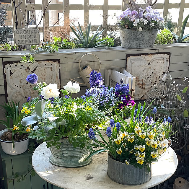 mamisazさんの実例写真