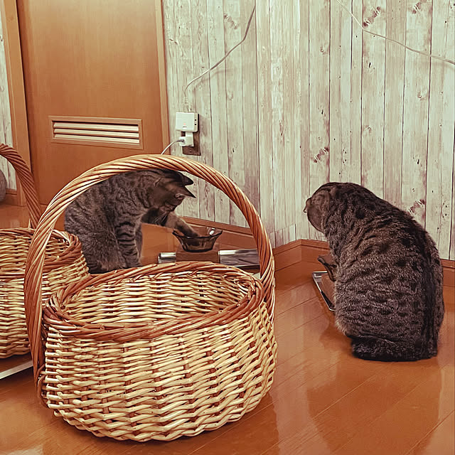 Mさんの実例写真