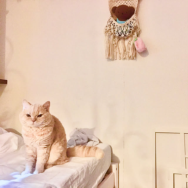 naokoさんの実例写真